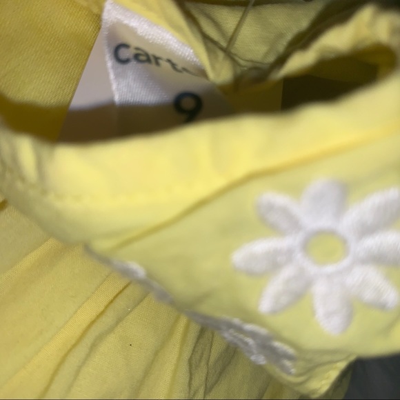 Carter’s floral embroidered dress — 9 months - Picture 3 of 5